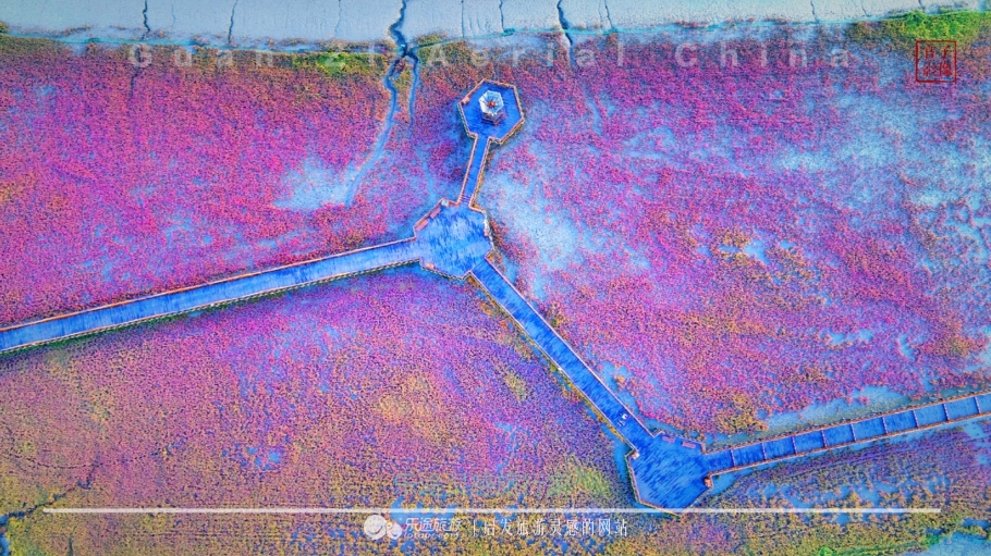 亚洲最大的天然红地毯,世上最出名的红地毯