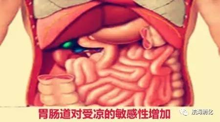 你的脾胃虚弱吗,你的肠胃健康吗