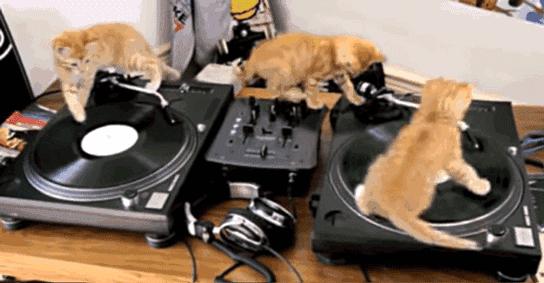 口红黑帮已向你的男友发来一份送礼清单