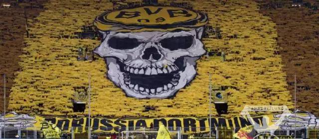 鲁能青训硕果遍布中超,鲁能与多特蒙德