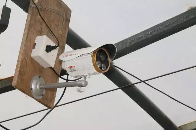 社区履职记｜航头派出所胡威杰