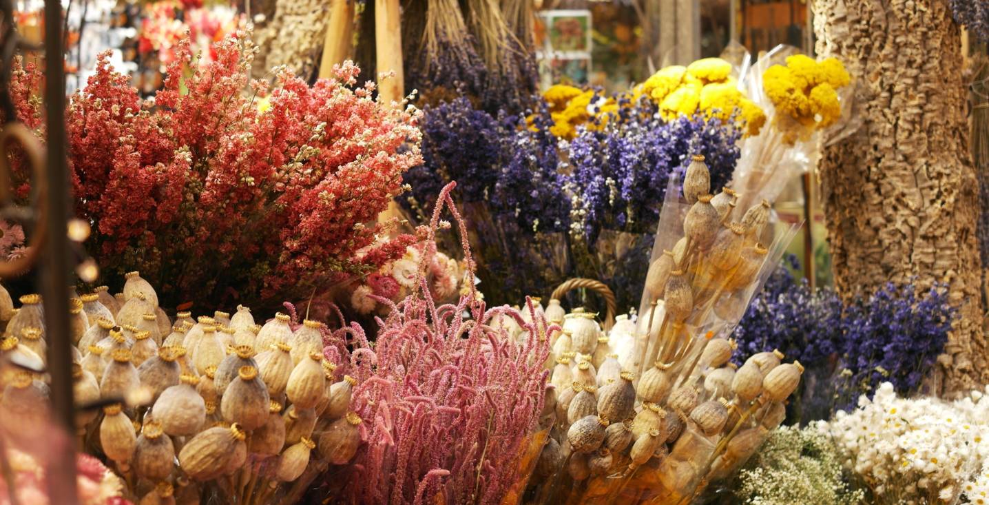 一生只爱一个人一世只为一个魂,一生只爱一个人一世只为一段情