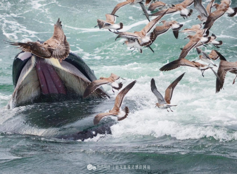 漫步波士顿,不走寻常路爬山涉水