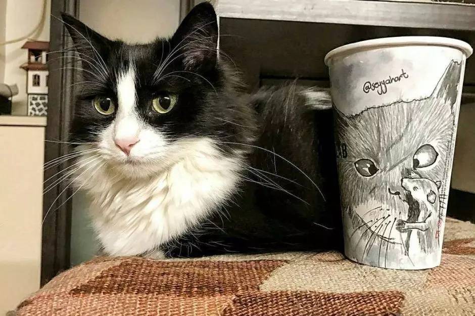 艺术家环游世界，他靠这个技能成为世界网红