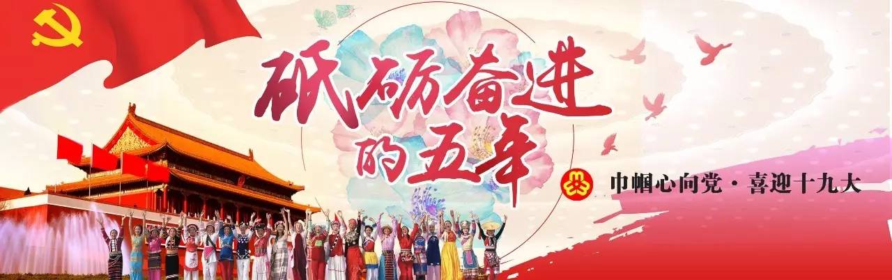 圆梦中国·天涯巾帼风采篇｜戴海青：三十年临床践行中医使命专研医术济民生