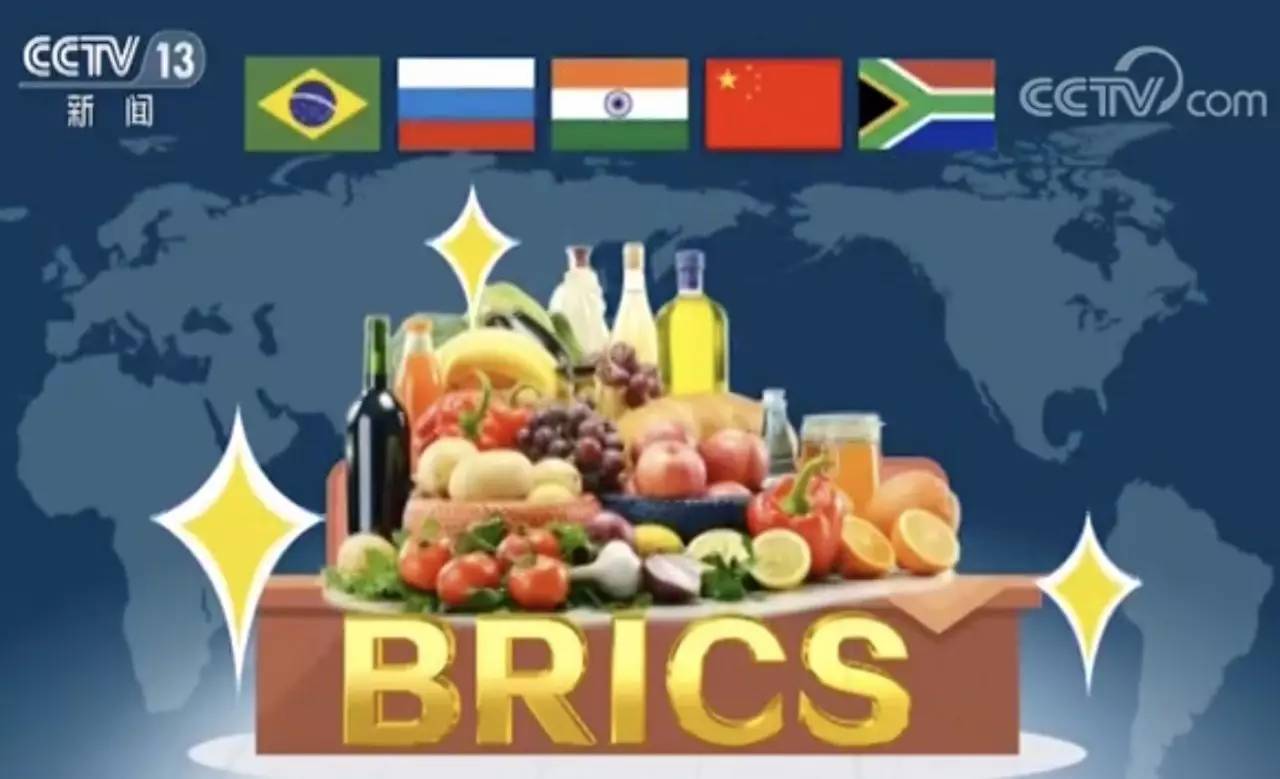 舌尖上的金砖美食,舌尖上的中国解馋