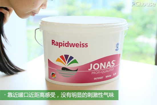 热门环保哑光墙面漆,德国鲸彩漆墙面效果