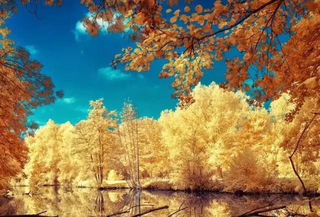 沈阳最美赏枫地最新开放,沈阳附近赏枫