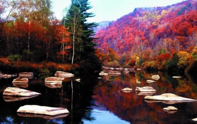 沈阳最美赏枫地最新开放,沈阳附近赏枫