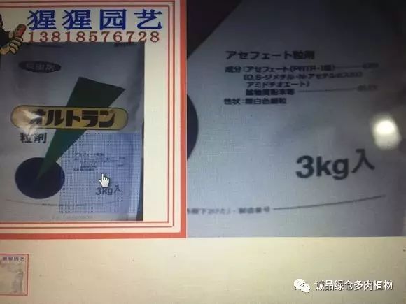 多肉既杀虫又杀菌的药剂,多肉最好的杀虫剂是哪种