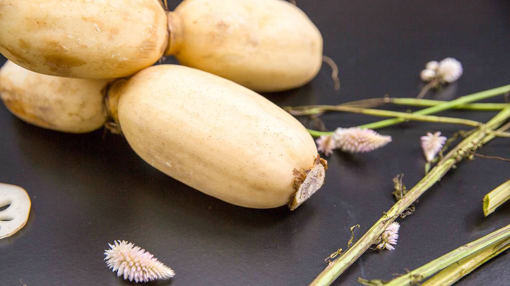 养生宝的功效,养生好物补气血