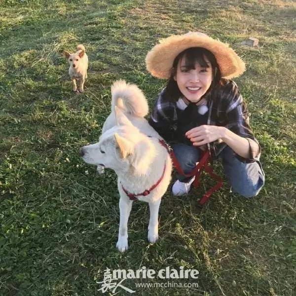 孝利家的民宿iu哪一期,孝利家民宿客人对iu的评价