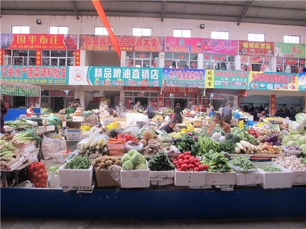 神木全攻略,吐血整理学习攻略