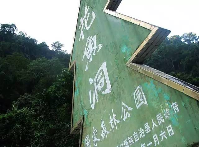 美丽的河口一日游,秋色正好邂逅大美河口