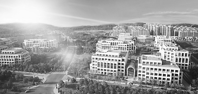 武汉国际服务外包平台,武汉外包服务