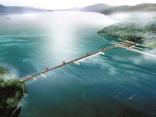 长江的各种濒危物种,长江生物多样性现状