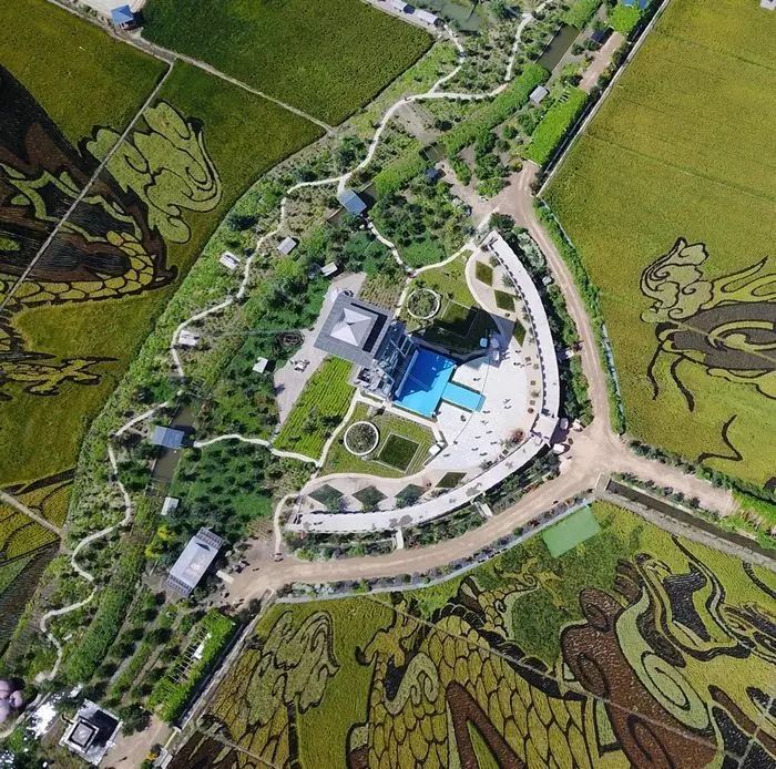 沈阳稻梦空间稻田,沈阳稻梦空间