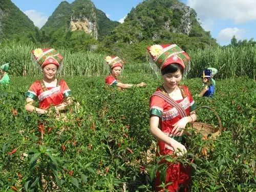 广西山清水秀风景视频,广西山清水秀的县