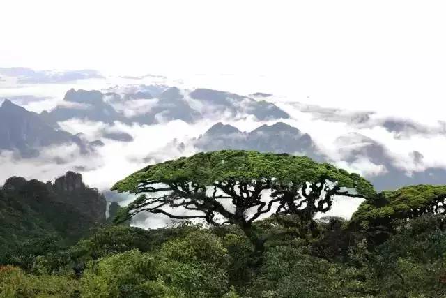 广西山清水秀好风光,广西山清水秀风景图片