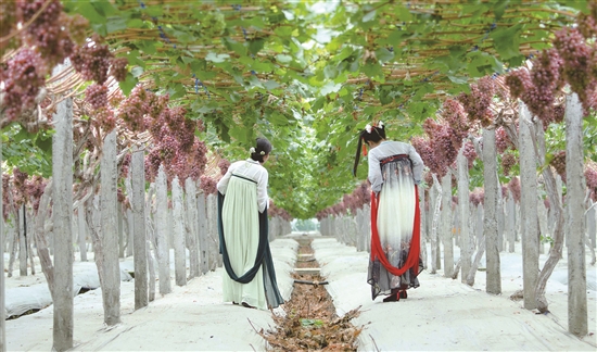 眉山天府新区新片区规划,天府新区眉山彭山区片区简介