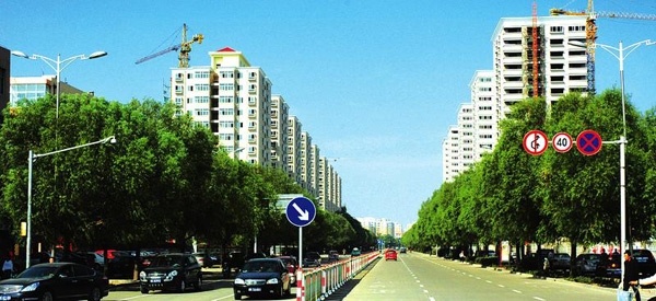 神木全攻略,吐血整理学习攻略