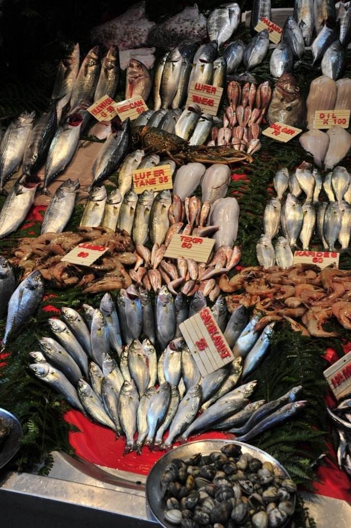 历史上伊斯坦布尔的首都 (世界上只有一座城市伊斯坦布尔)