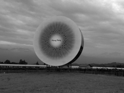 线上线下大聚惠，你的甜猕来自都江堰