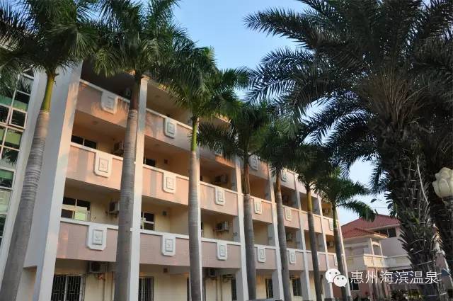 海滨温泉酒店会议,适合商务小型会议酒店