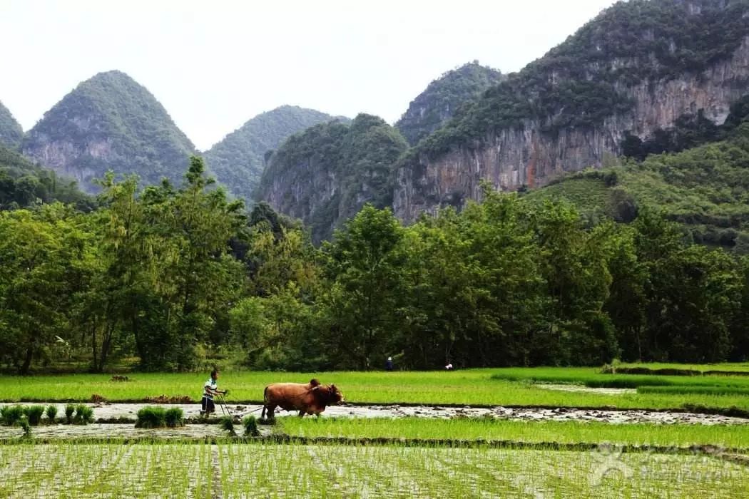 旅游攻略安静,人少风景好的偏冷门旅游地