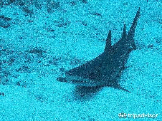 2023十大免签海岛,斐济海岛美景