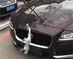 「笑多会怀孕」——一不小心滑了……