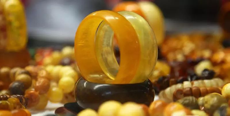 中国东盟博览会攻略,18届东盟博览会攻略