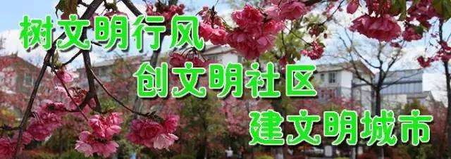 残联免费康复救助,残联的免费康复政策