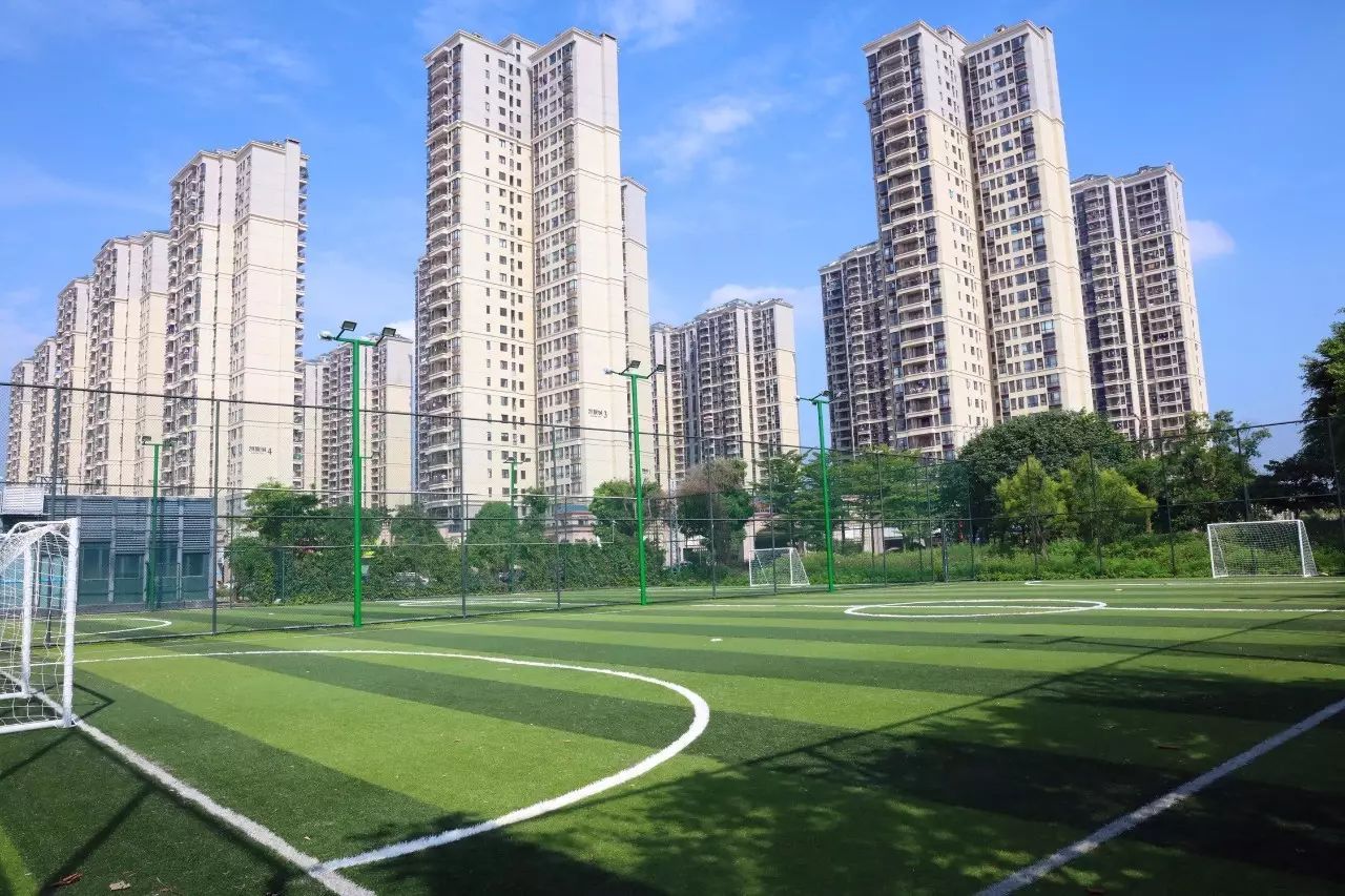 塘厦科苑东体育公园,塘厦体育公园