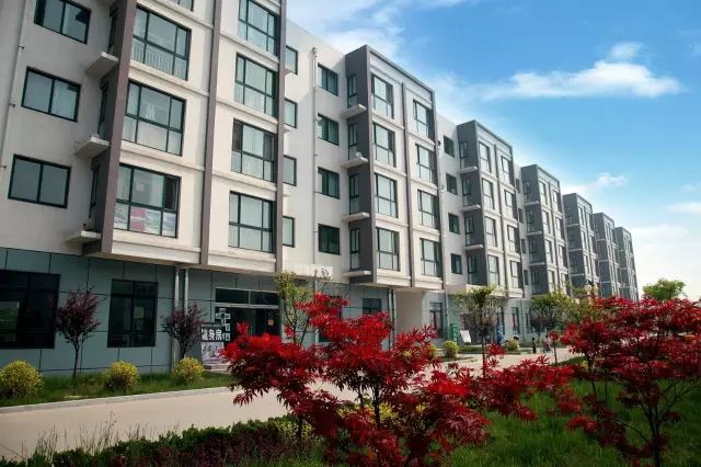 为什么一定要上大学，青岛科技大学给你答案！