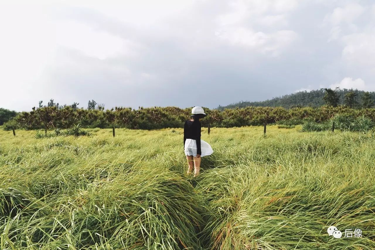 涠洲岛火山岛攻略图文,涠洲岛vs海陵岛哪个好玩