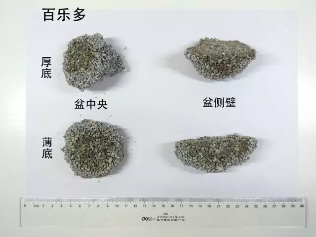 便宜好用膨润土,松木很不好吗