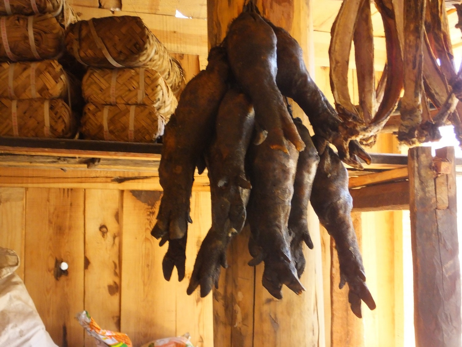 泸亚东线沿途风景,泸亚线穿越原始森林