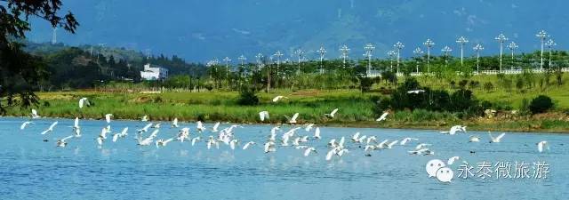 厉害了我区多家企业获省级殊荣,厉害了巢湖这个单位获国字号荣誉