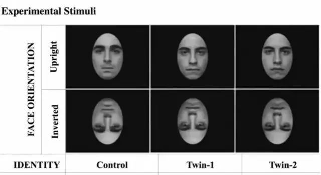 搞笑诺贝尔奖猫咪,关于猫的诺贝尔搞笑奖