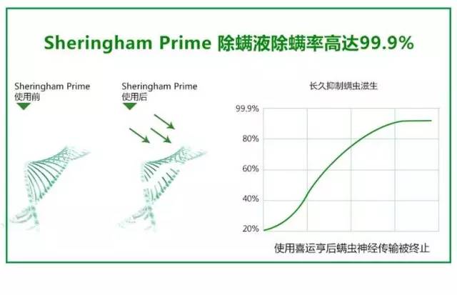 儿童除螨睡眠枕头,儿童螨虫喷雾床上怎么使用