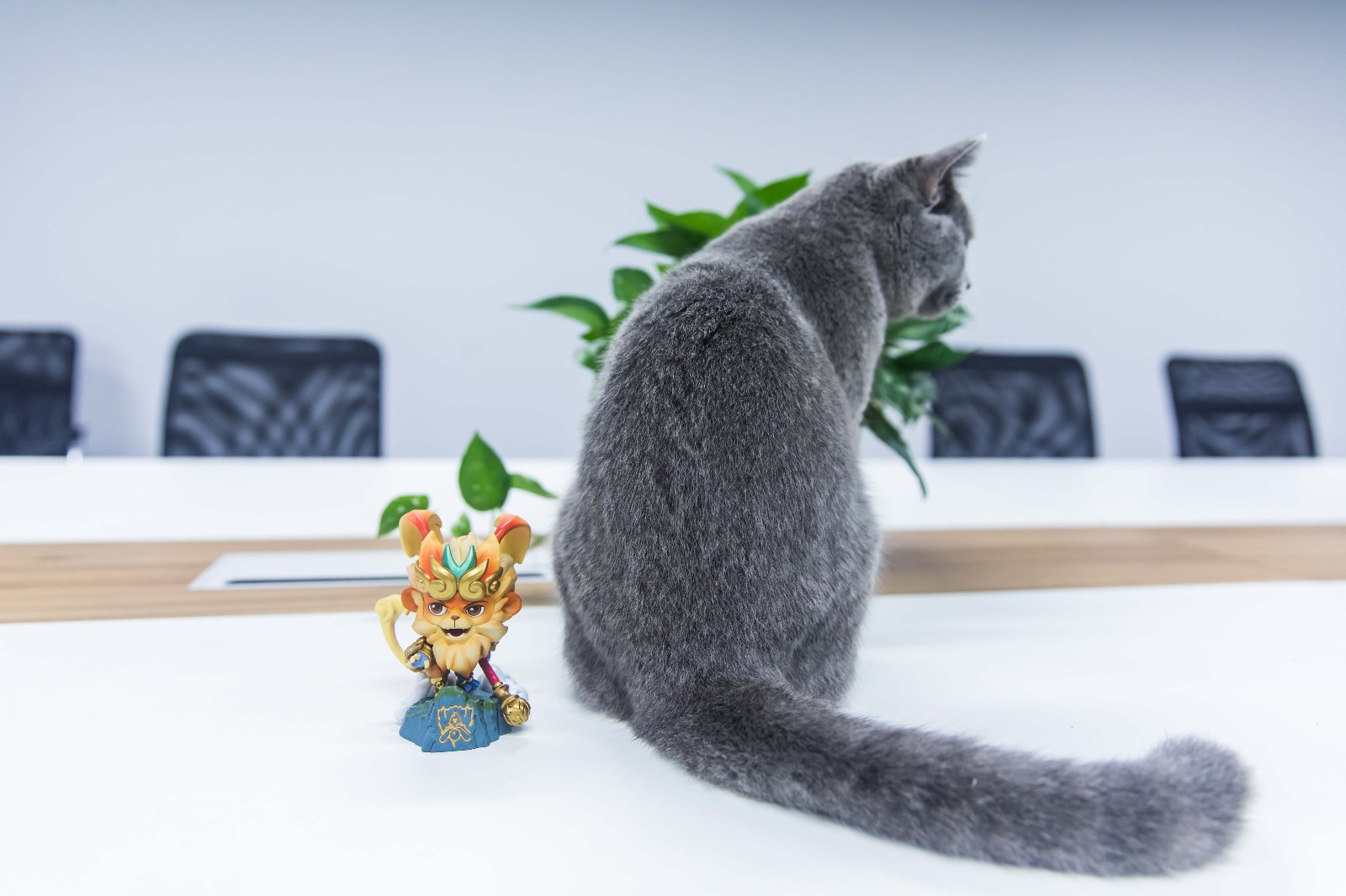 一番赏极点悟空手办开箱测评,悟空总决赛手办开箱