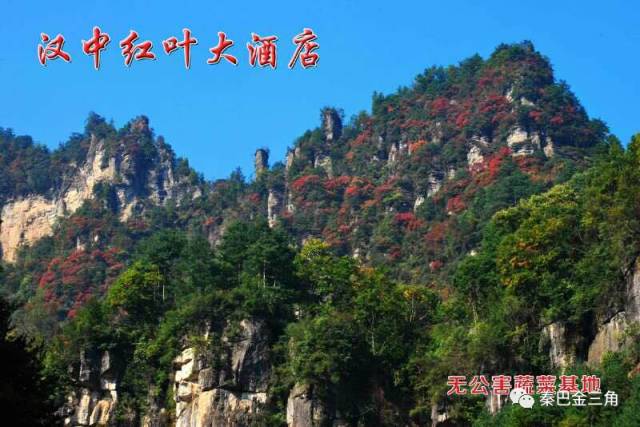 第一次来星级酒店觉得自己老土,星级酒店好进么