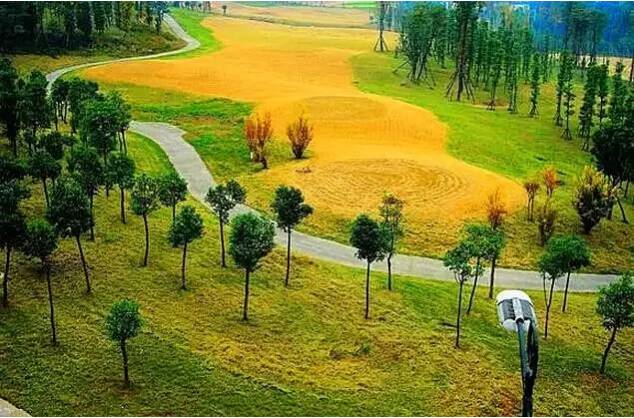 情侣旅行后分手叫什么定律,情侣一起旅行后易分手的真实原因