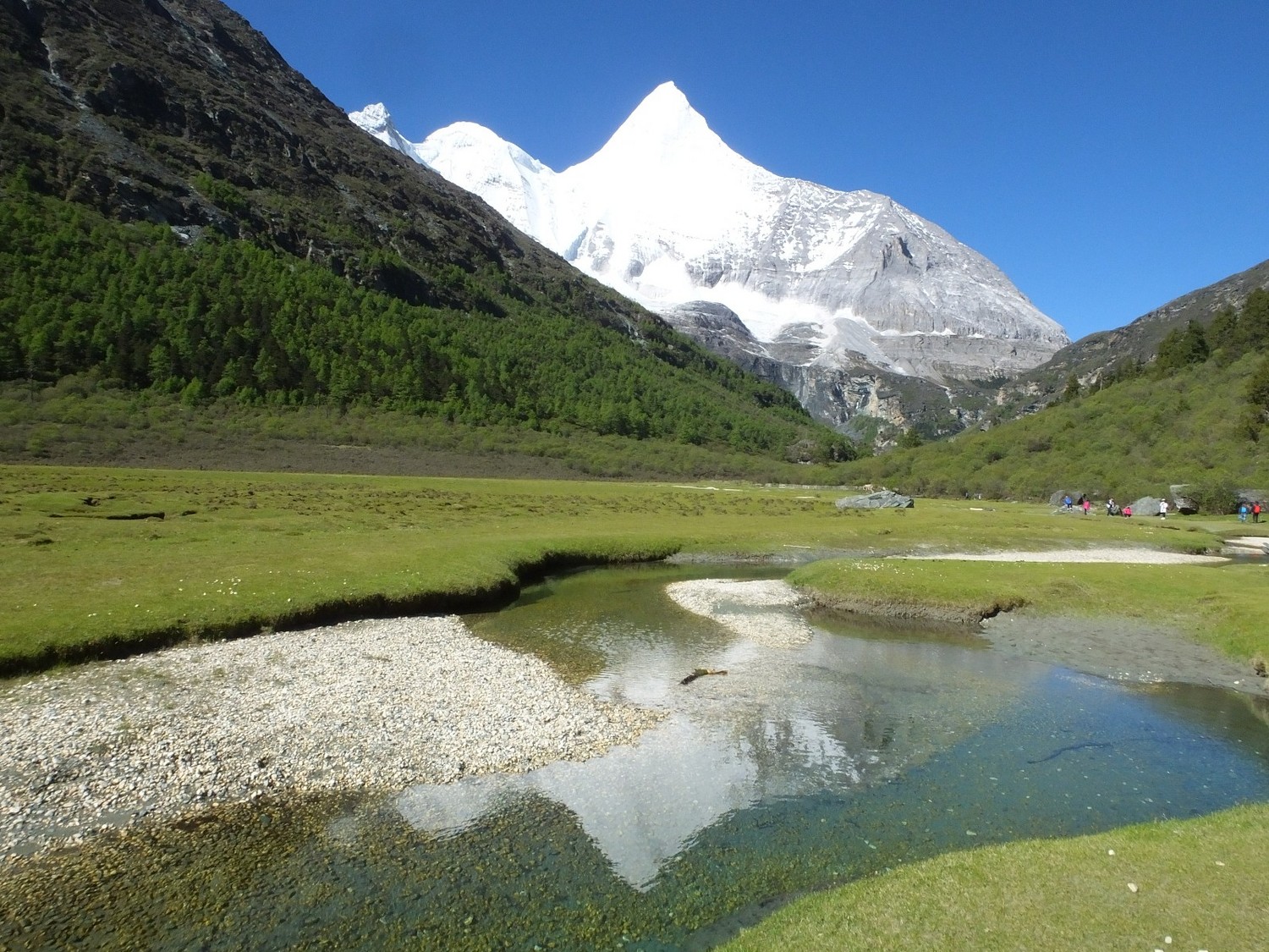 泸亚东线沿途风景,泸亚线穿越原始森林