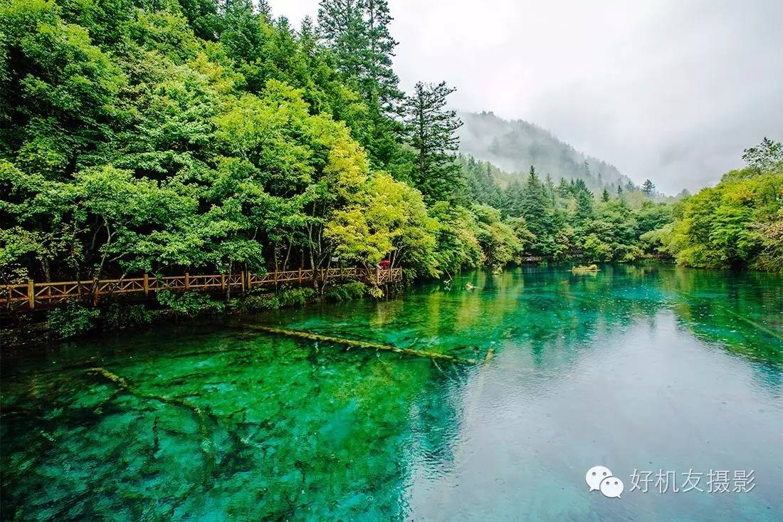 九寨沟黄龙峨眉山乐山自由行攻略,九寨沟旅游攻略及自由行景点介绍