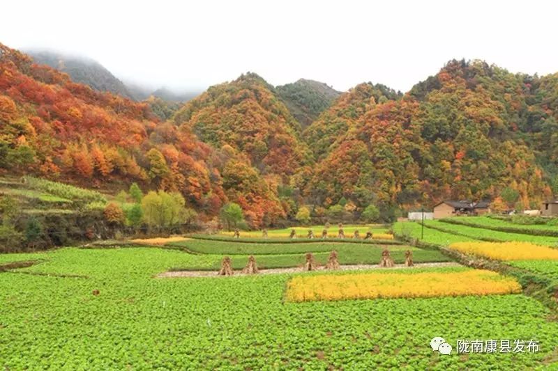 康县美丽的秋天,新县醉美秋景