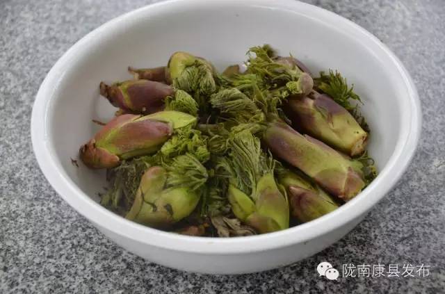 「相约康县」山水间歌声回荡，烟波里久违的故乡