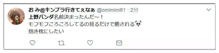 熊猫宝宝起名字是怎么由来的,2021年所有熊猫宝宝名字