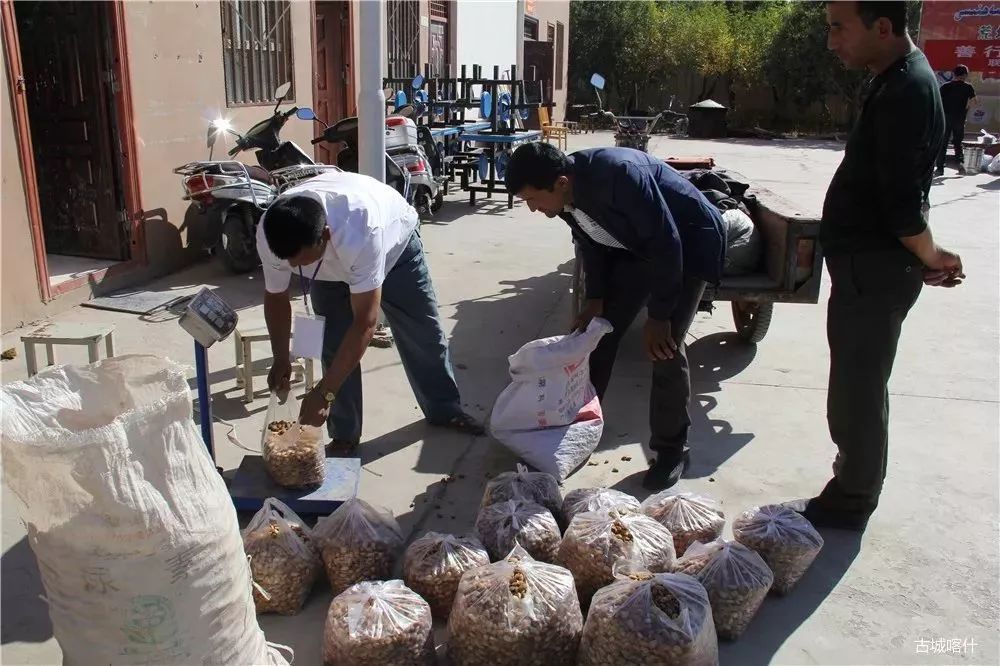 「聚焦民生」以购代捐爱心帮扶